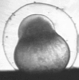 Fig. 3b