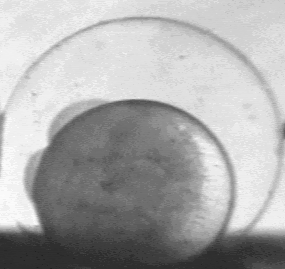 Fig. 5a