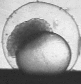 Fig. 5c