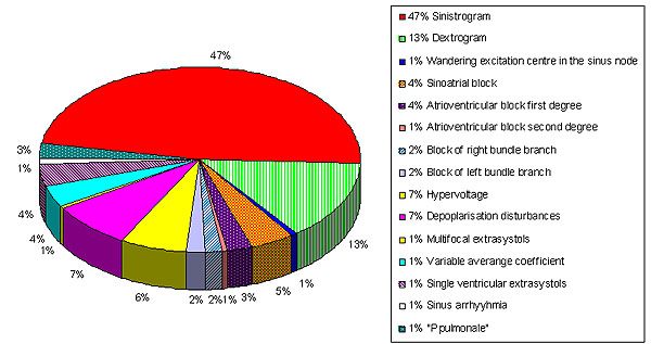 circulatory system heart diagram. Circle diagram № 1 Percentage