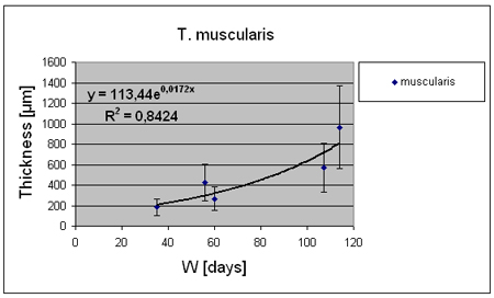 Labeled Volvox Cell. field labeled diagram home