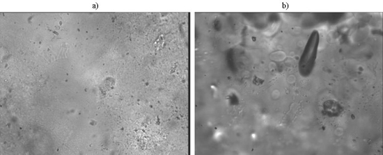 Gelatinization Of Starch