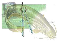 Logo Fisheries