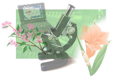 Logo Horticulture